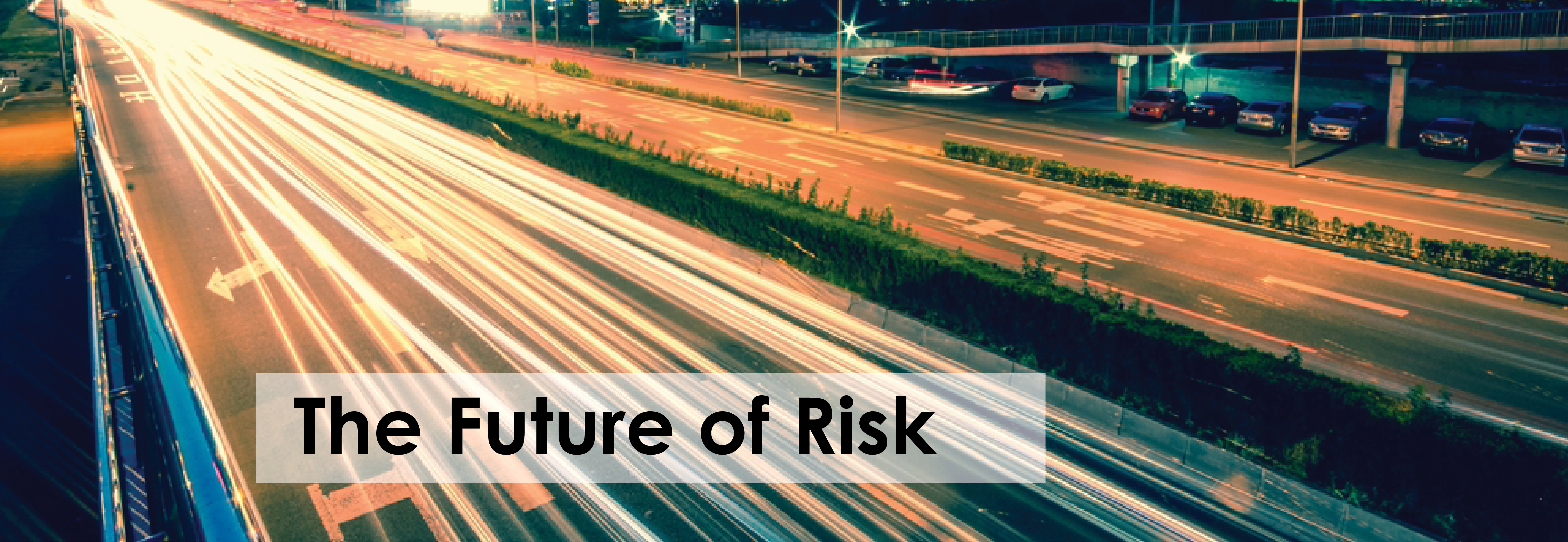 the future of risk